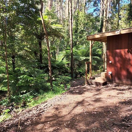 The Fernglen Forest Retreat Маунт Данденонг Екстериор снимка