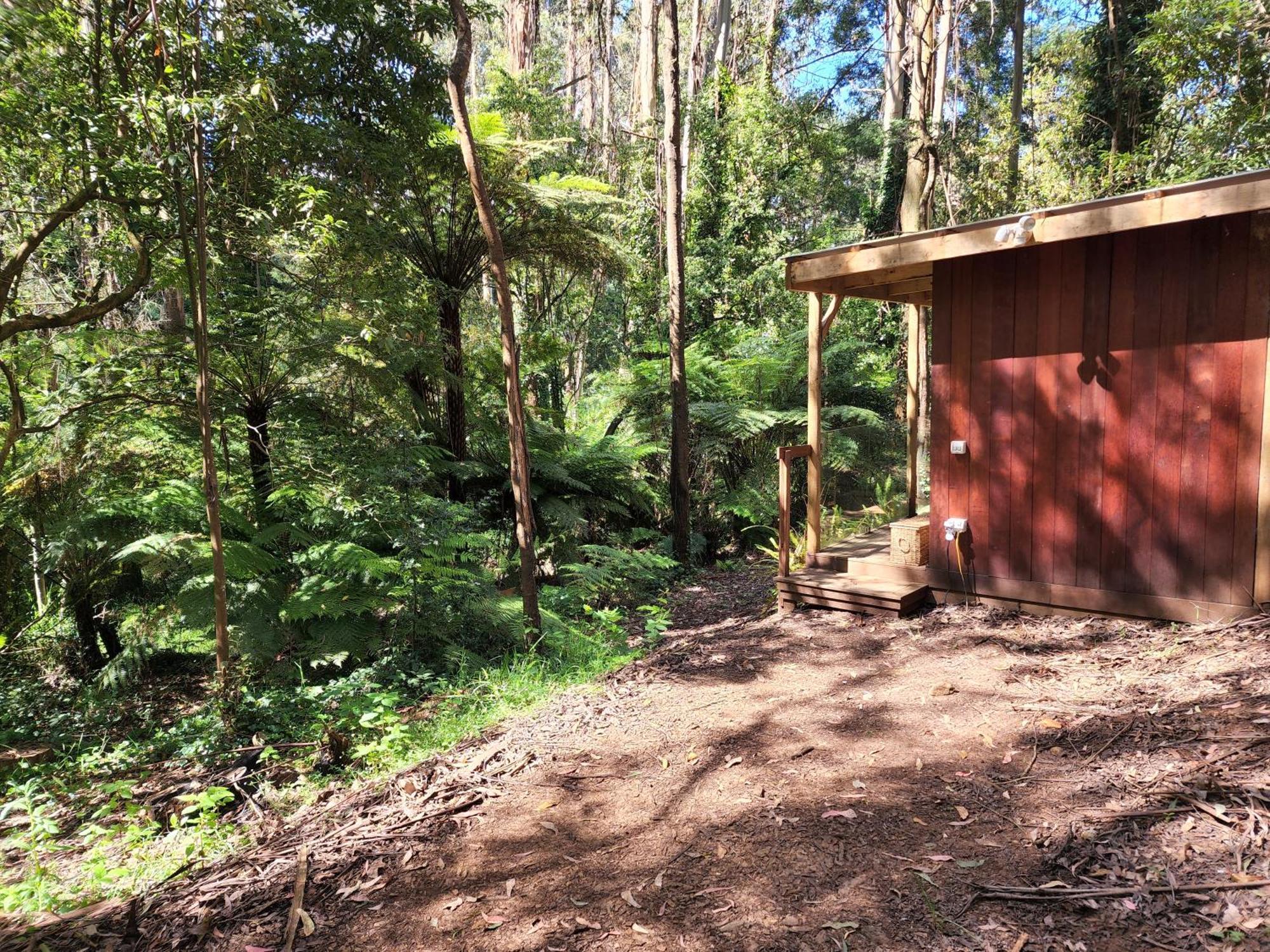 The Fernglen Forest Retreat Маунт Данденонг Екстериор снимка