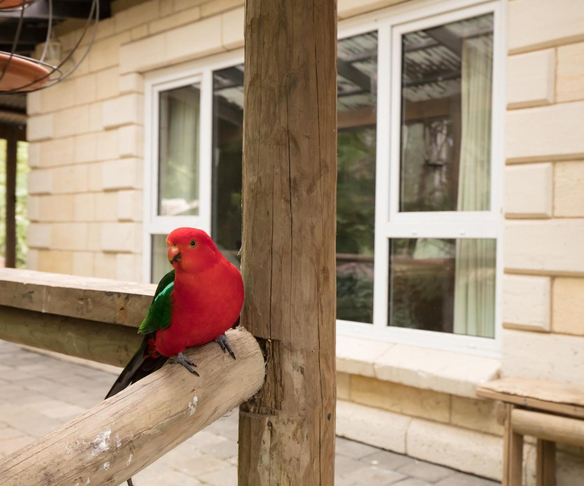 The Fernglen Forest Retreat Маунт Данденонг Екстериор снимка